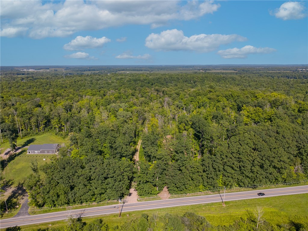 Lake Bluff Road North Rose, NY 14516 - Photo 7 of 12 A view of the area from the sky