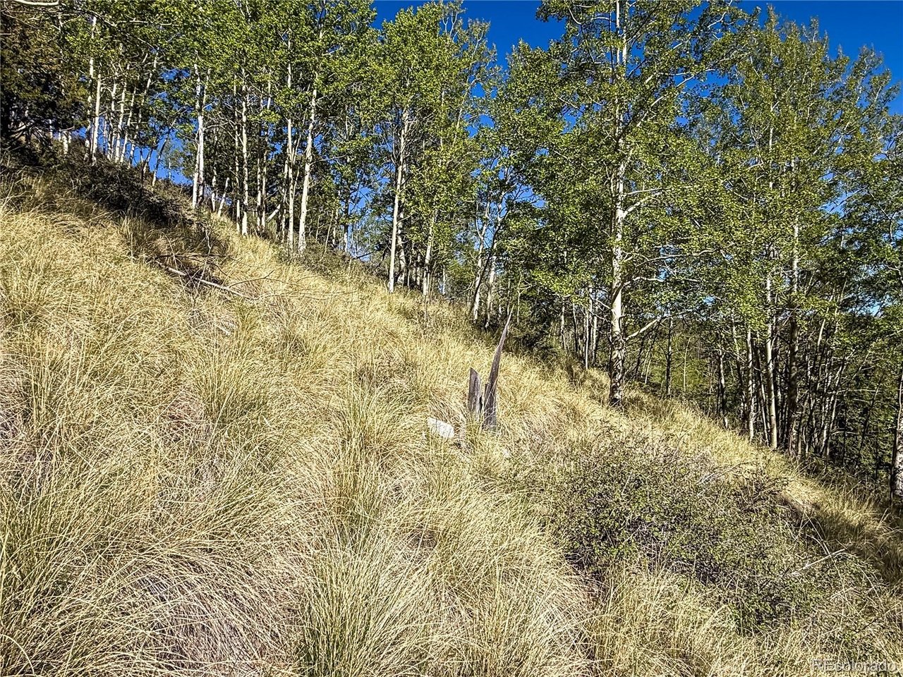 6829 Ryland Road San Luis, CO 81152 - Photo 22 of 28 a view of small yard with trees
