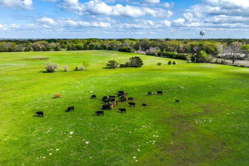 0 St Highway Kemp, TX 75143 - Photo 10 of 16 a view of a field with an ocean