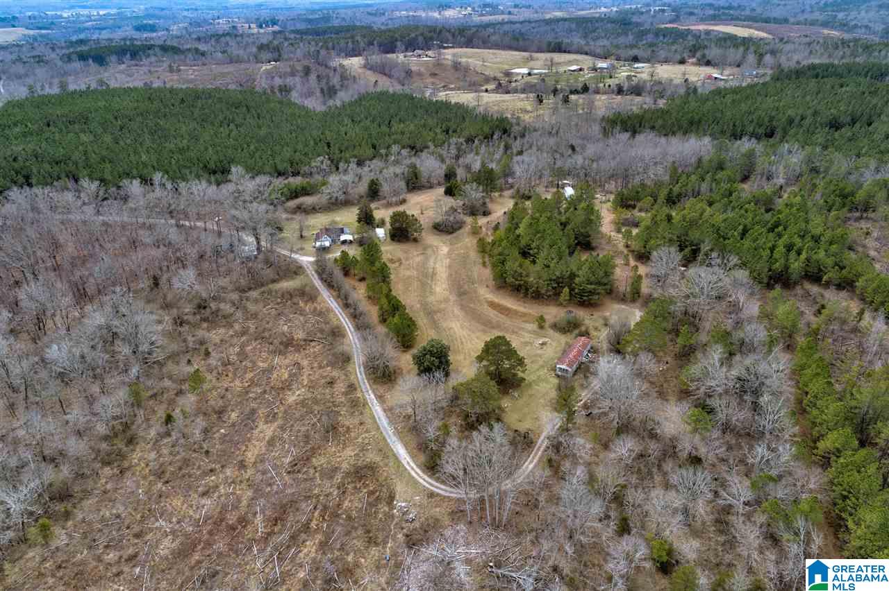 620 Chief Albert Road Blountsville, AL 35031 - Photo 12 of 15