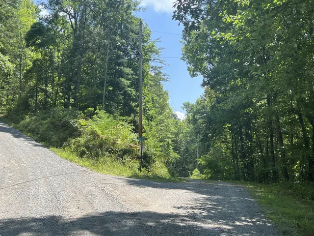 a sign that is sitting in front of a tree