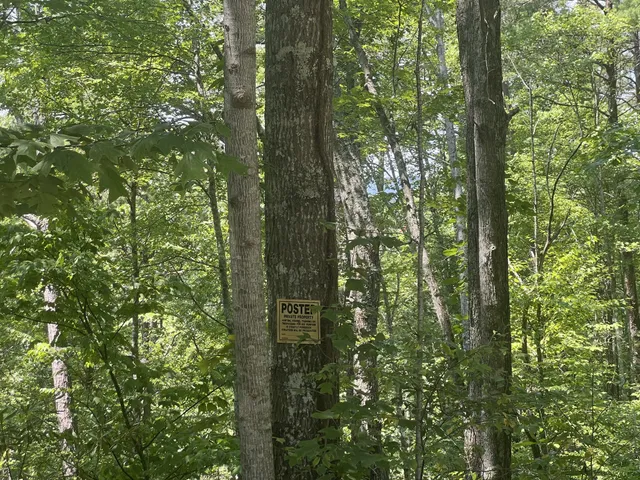 a view of outdoor space with trees