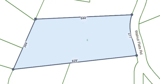 a view of a forest with trees in front of it