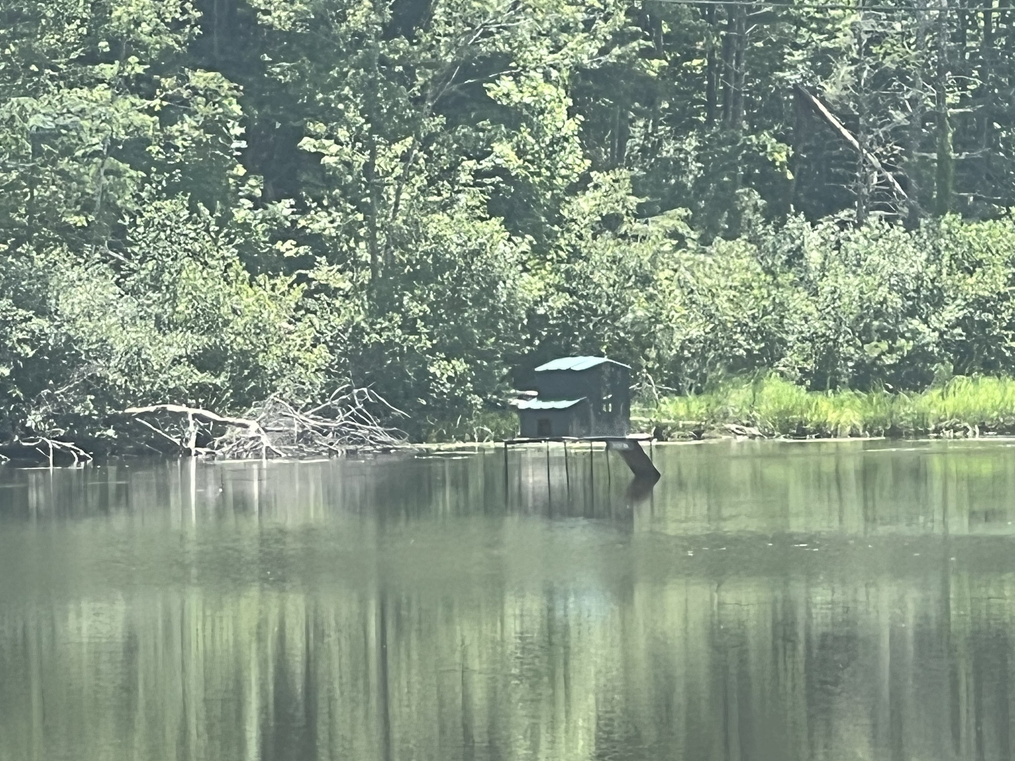 6 Walnut Flats Road Walland, TN 37886 - Photo 8 of 18 a view of water with a tree in the background