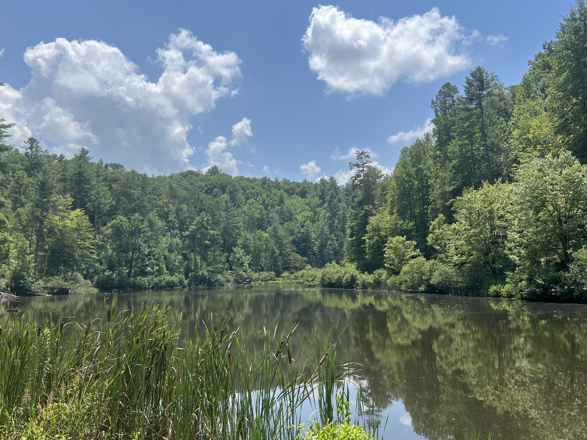 6 Walnut Flats Road Walland, TN 37886 - Photo 9 of 18 a view of lake