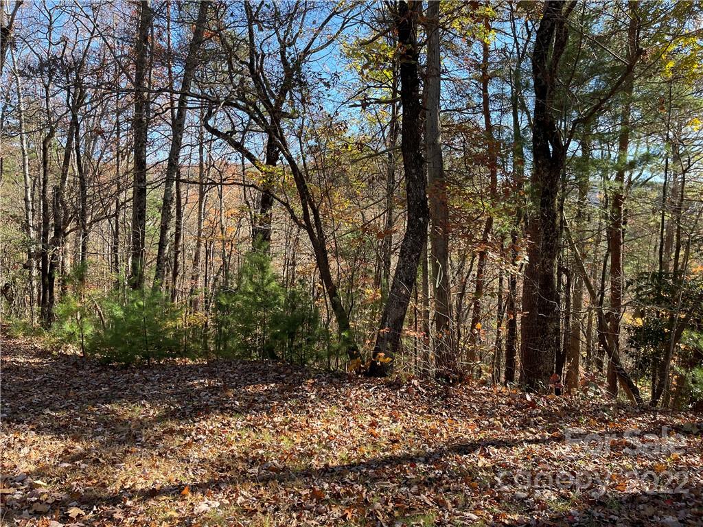 19 Arrowhead Ridge Road Brevard, NC 28712 - Photo 3 of 10 Gallery Image 3