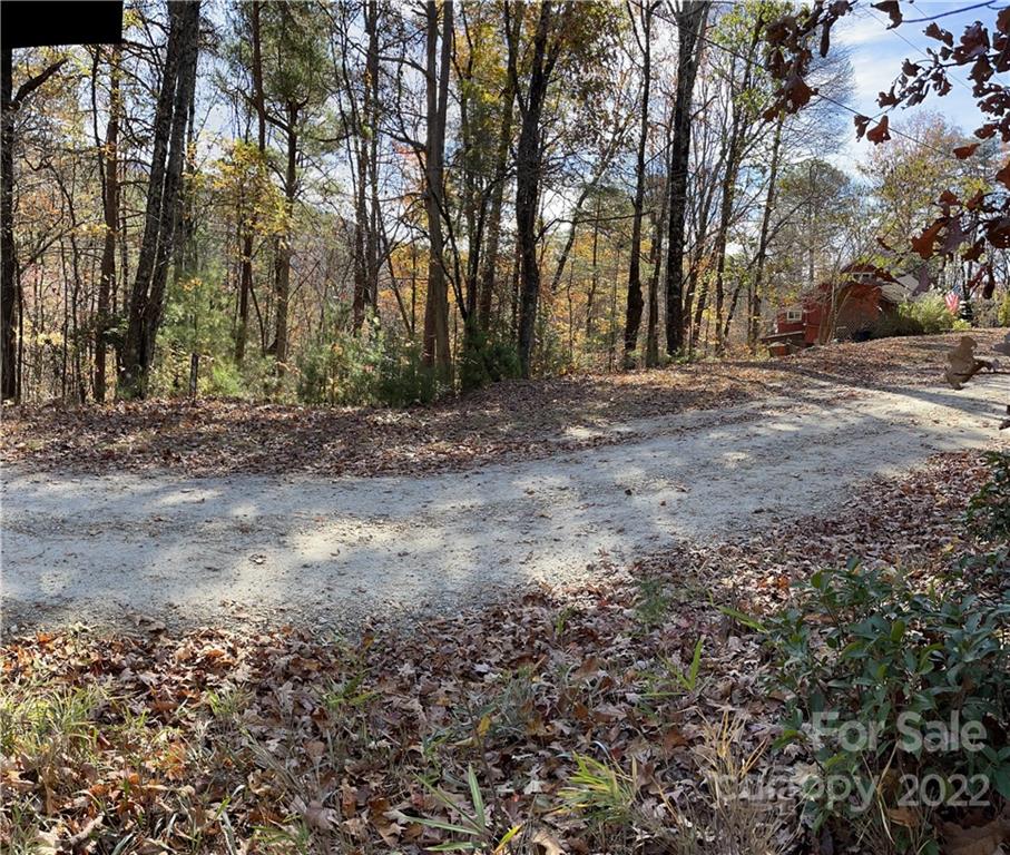 19 Arrowhead Ridge Road Brevard, NC 28712 - Photo 4 of 10 Gallery Image 4