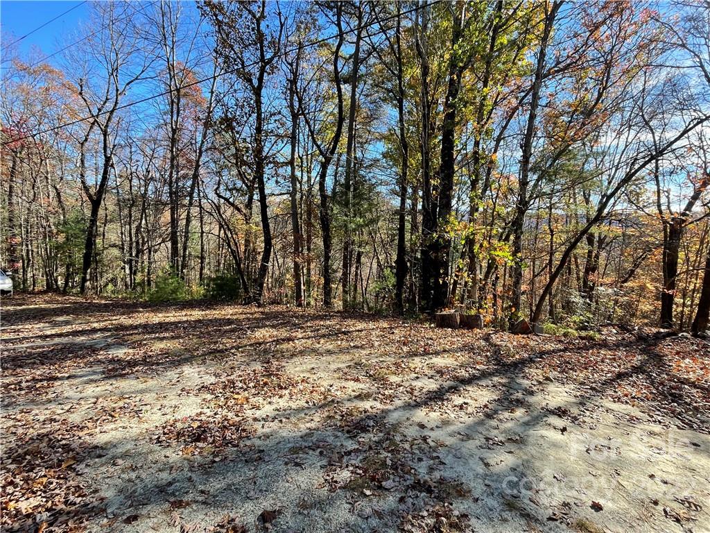 19 Arrowhead Ridge Road Brevard, NC 28712 - Photo 5 of 10 Gallery Image 5