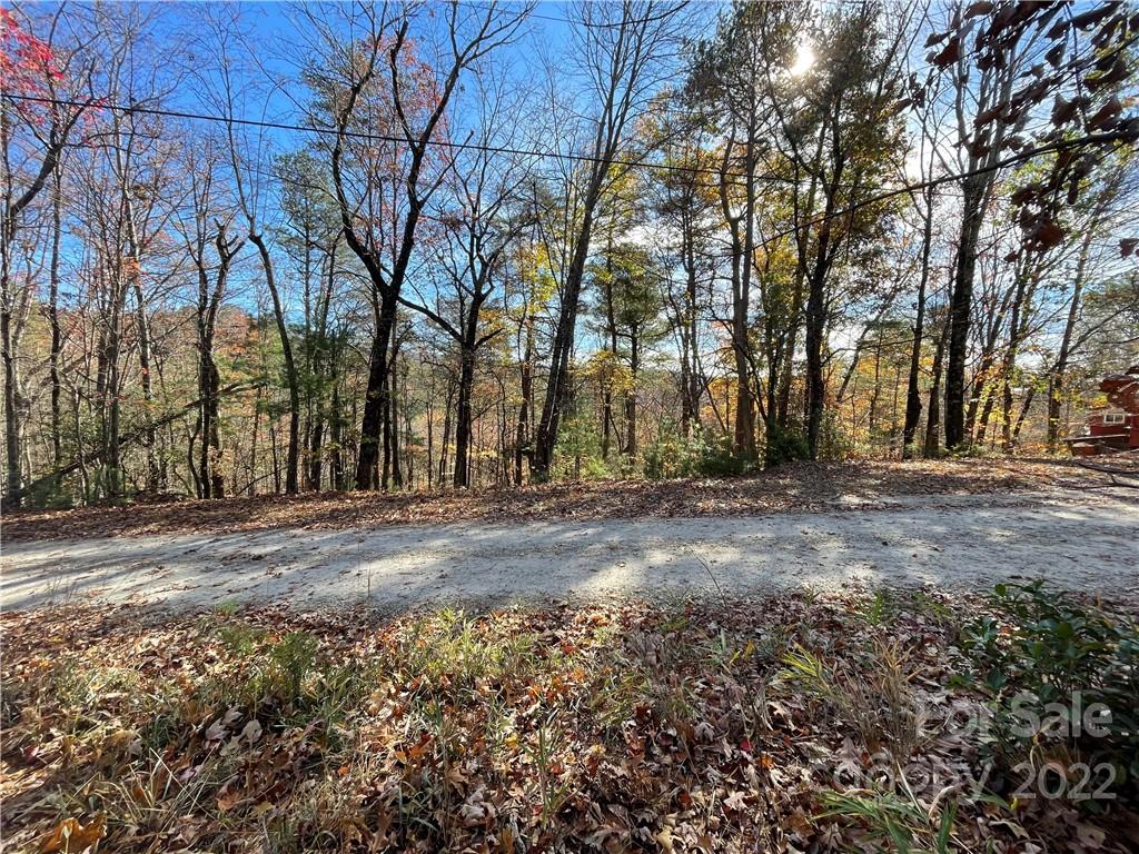 19 Arrowhead Ridge Road Brevard, NC 28712 - Photo 6 of 10 Gallery Image 6