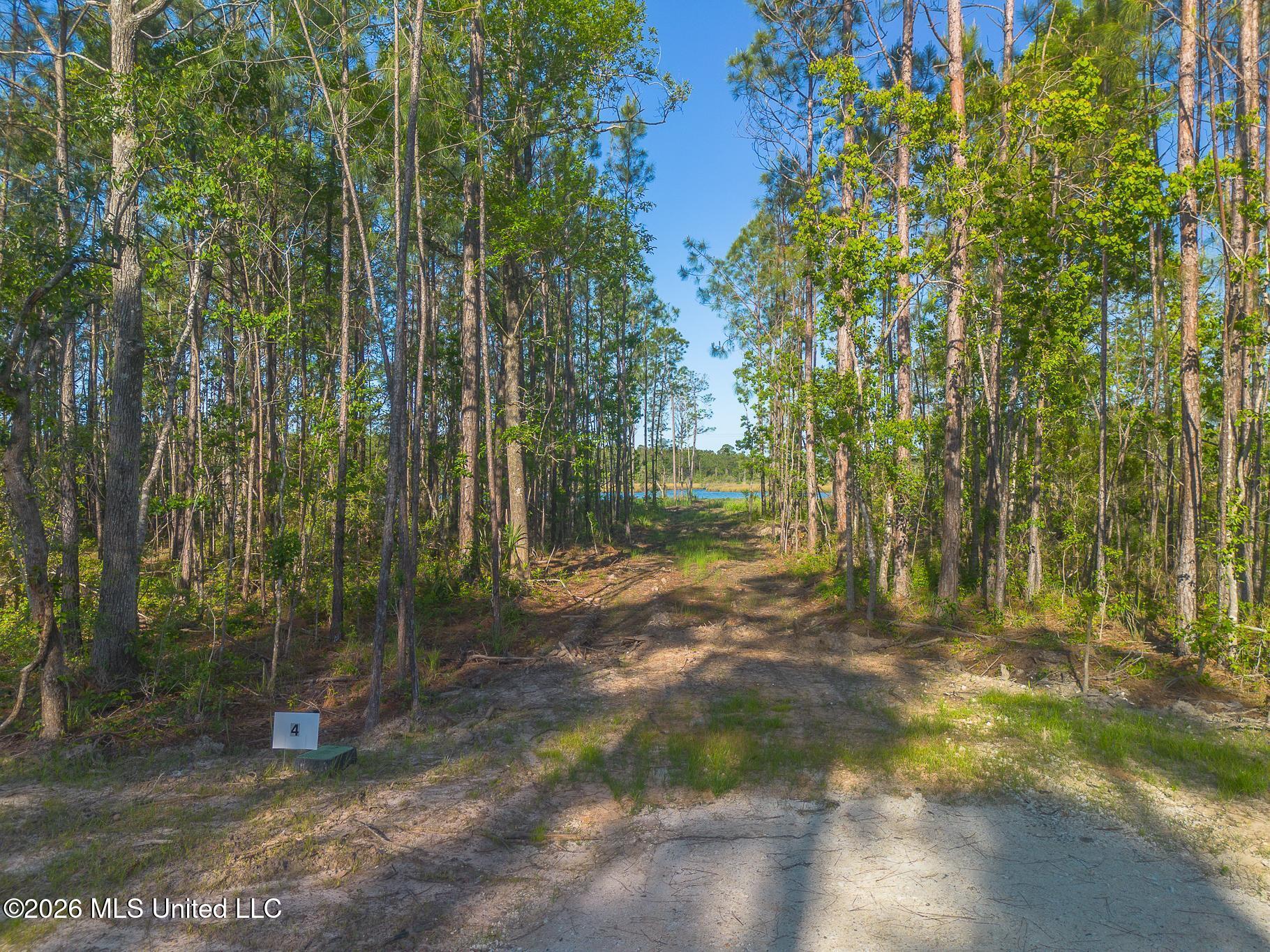 13080 Enciente Point Drive Kiln, MS 39556 - Photo 18 of 30 Enciente-85