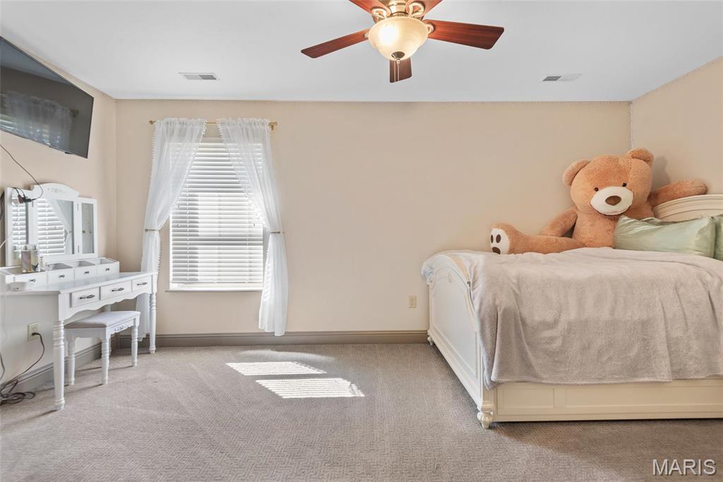 2017 Richview Drive St. Jacob, IL 62281 - Photo 54 of 59