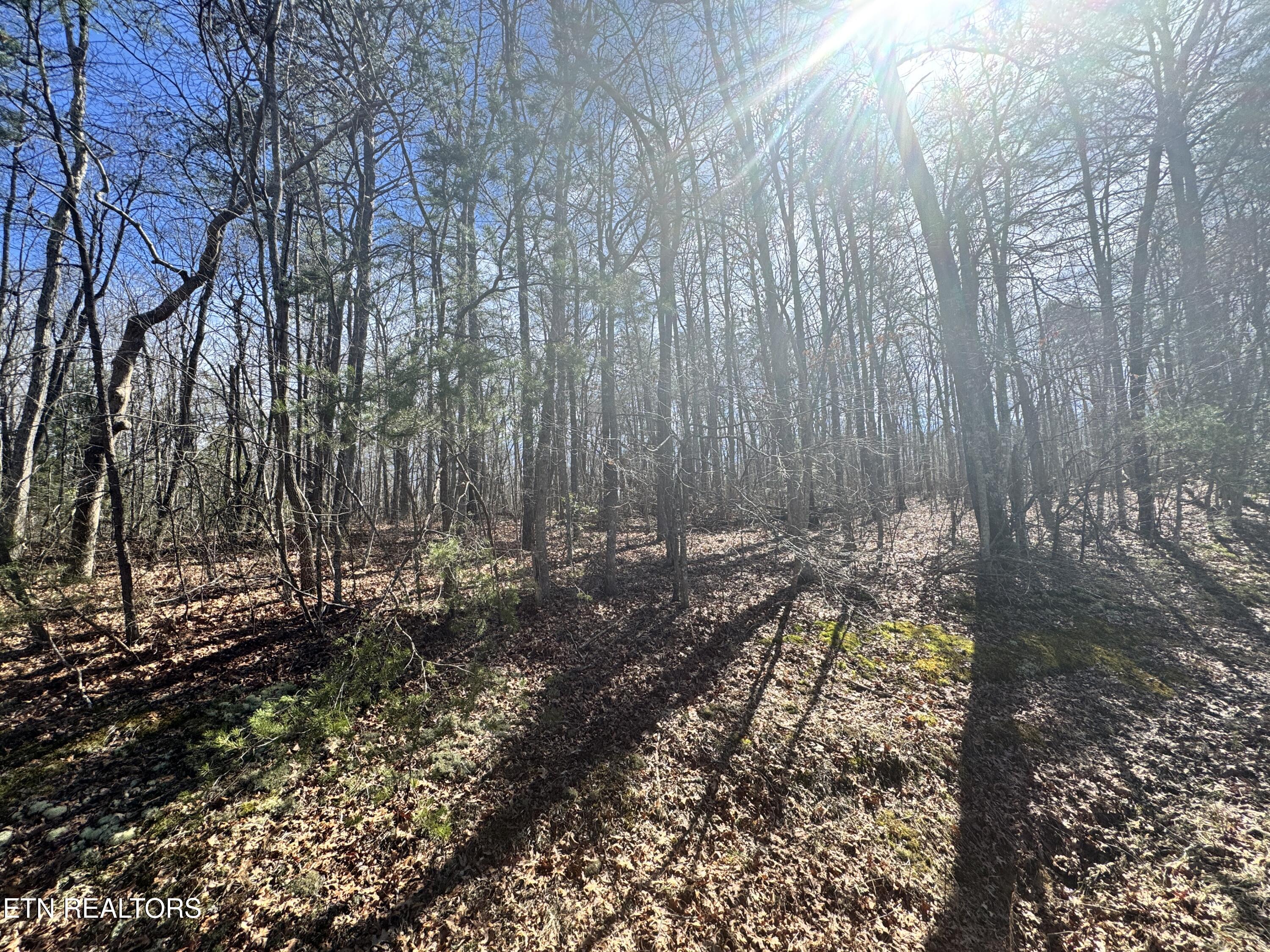 North Laurel Loop Monterey, TN 38574 - Photo 6 of 7 Photo Feb 27 2025, 11 57 05
