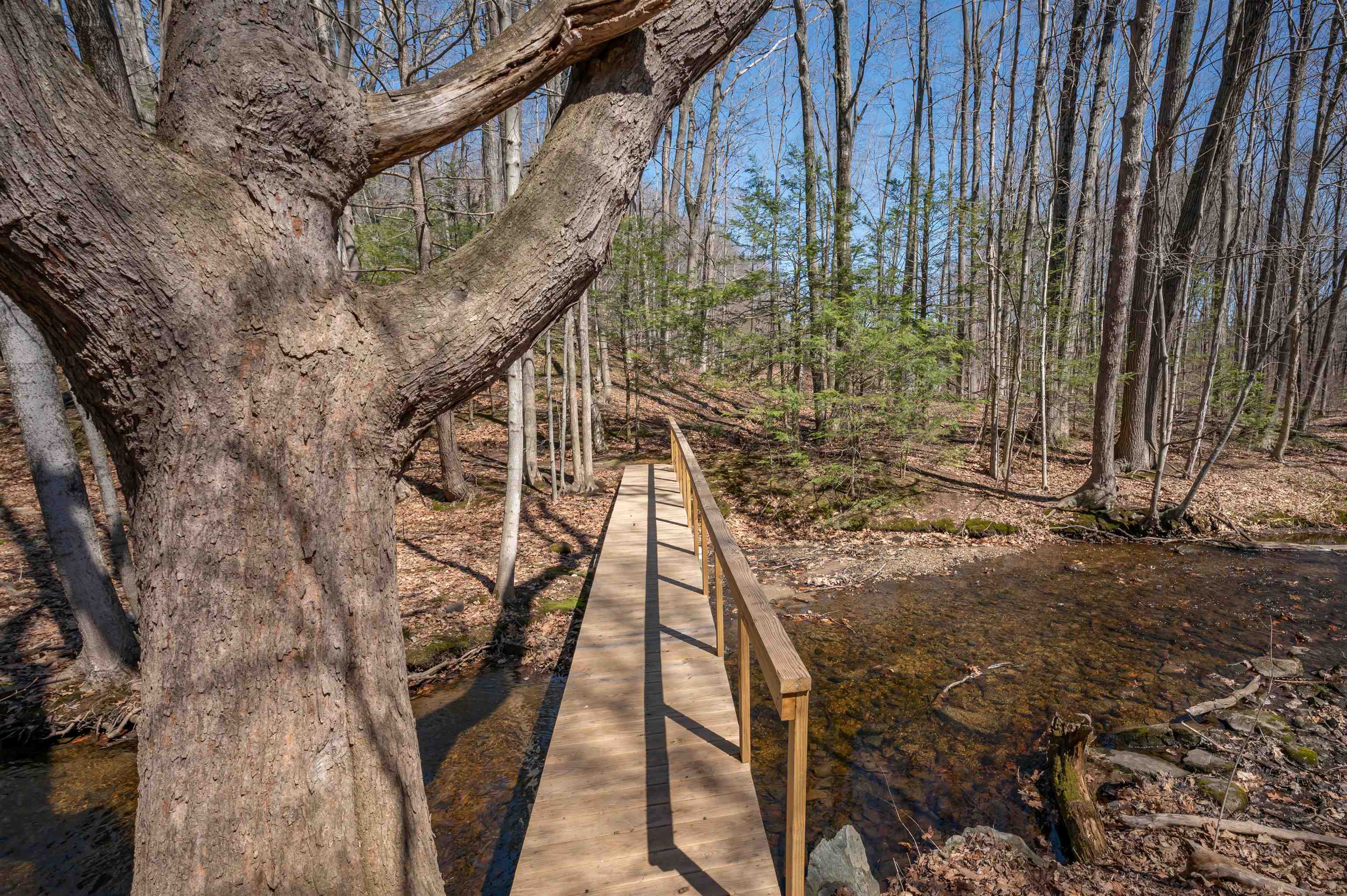 226 Amesbury Road Kensington, NH 03833 - Photo 49 of 59