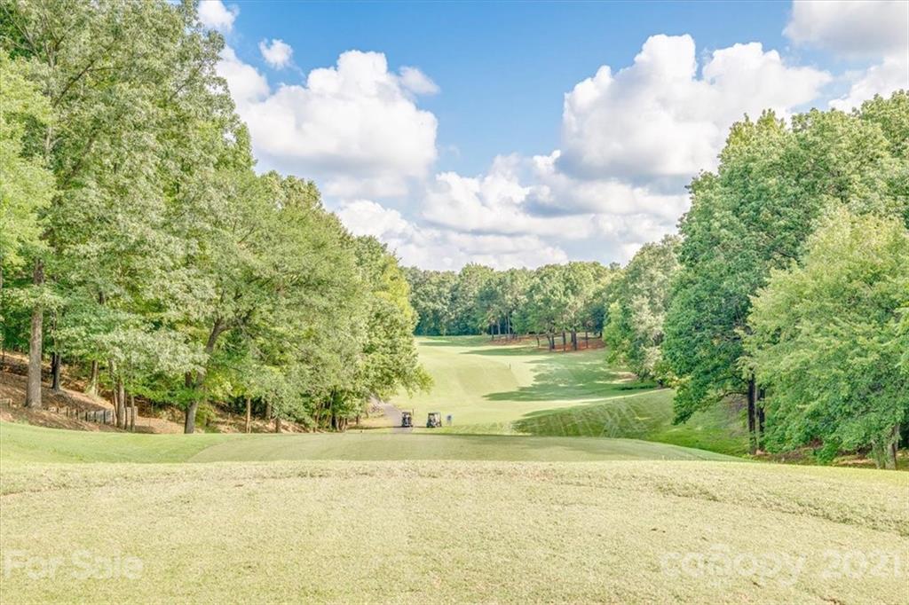 26059 Neptunes Landing Tega Cay, SC 29708 - Photo 44 of 46 Gallery Image 44