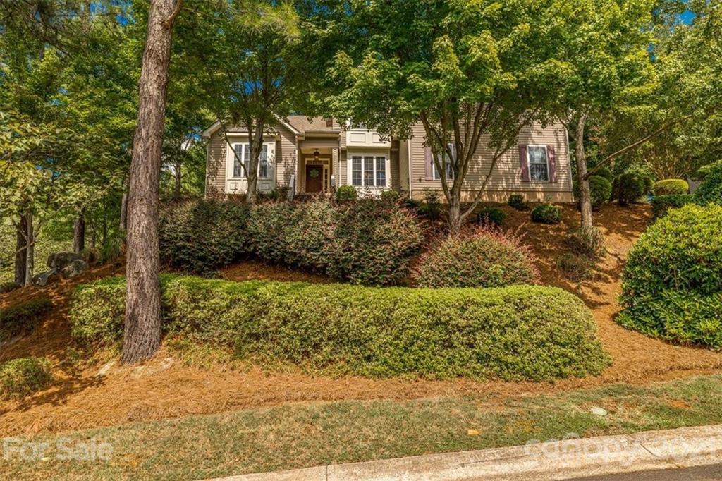 26059 Neptunes Landing Tega Cay, SC 29708 - Photo 7 of 46 Gallery Image 7