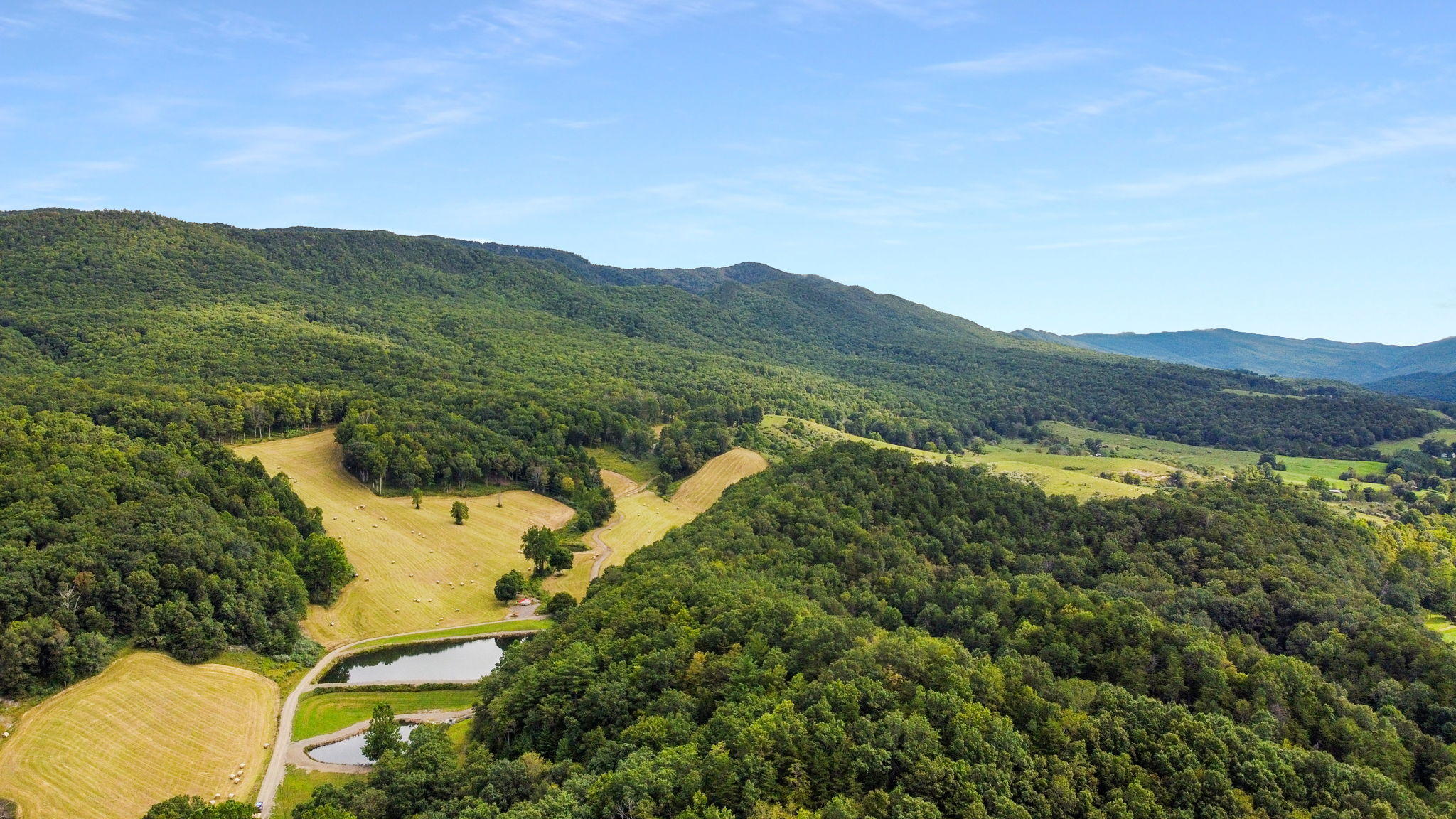 3147 Freestone Valley Road Tannersville, VA 24377 - Photo 4 of 26 2-web-or-mls-DJI_0175