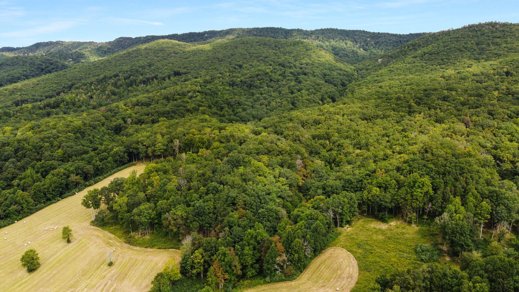 3147 Freestone Valley Road Tannersville, VA 24377 - Photo 9 of 26 7-web-or-mls-DJI_0184
