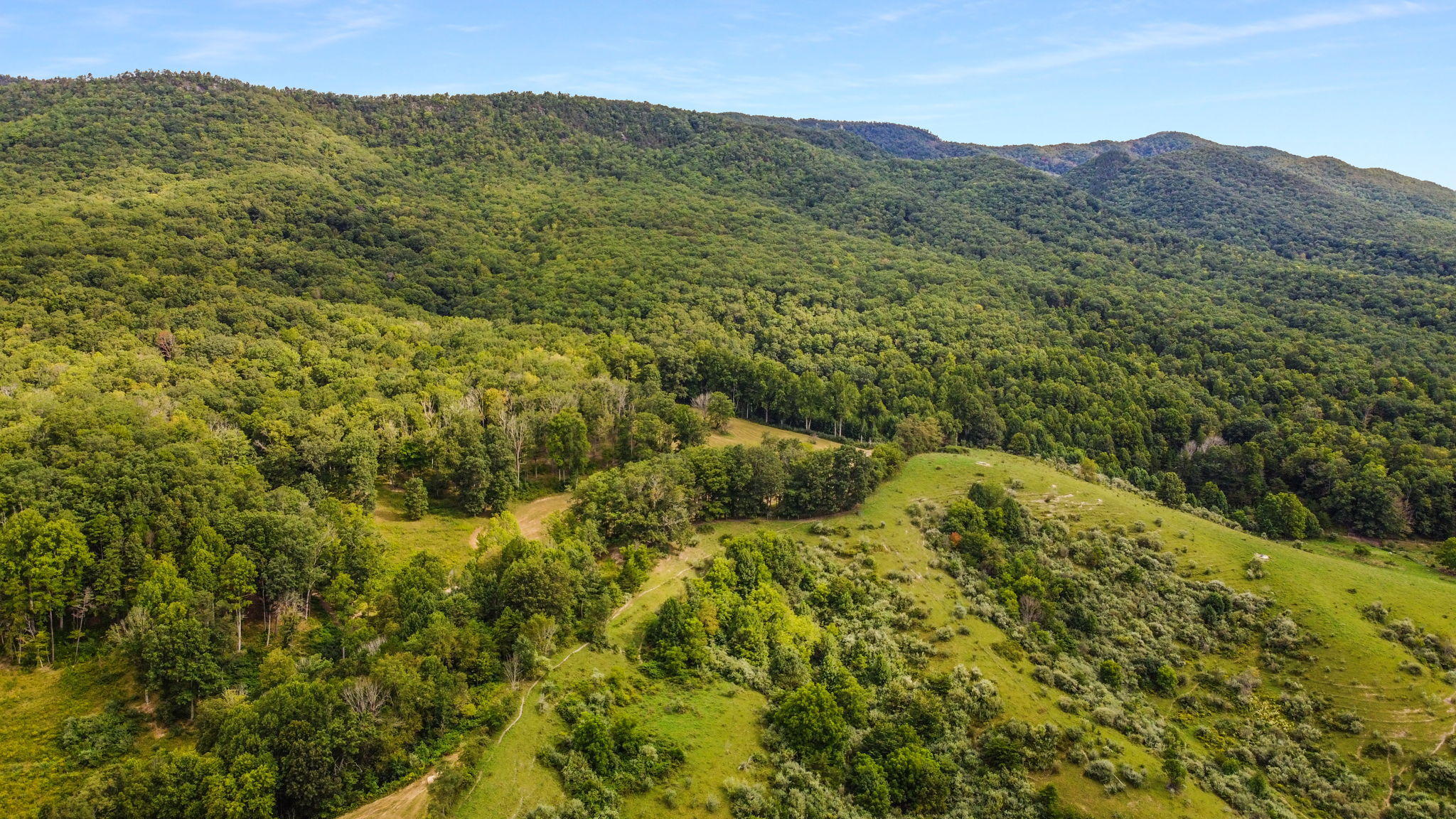 3147 Freestone Valley Road Tannersville, VA 24377 - Photo 10 of 26 8-web-or-mls-DJI_0185