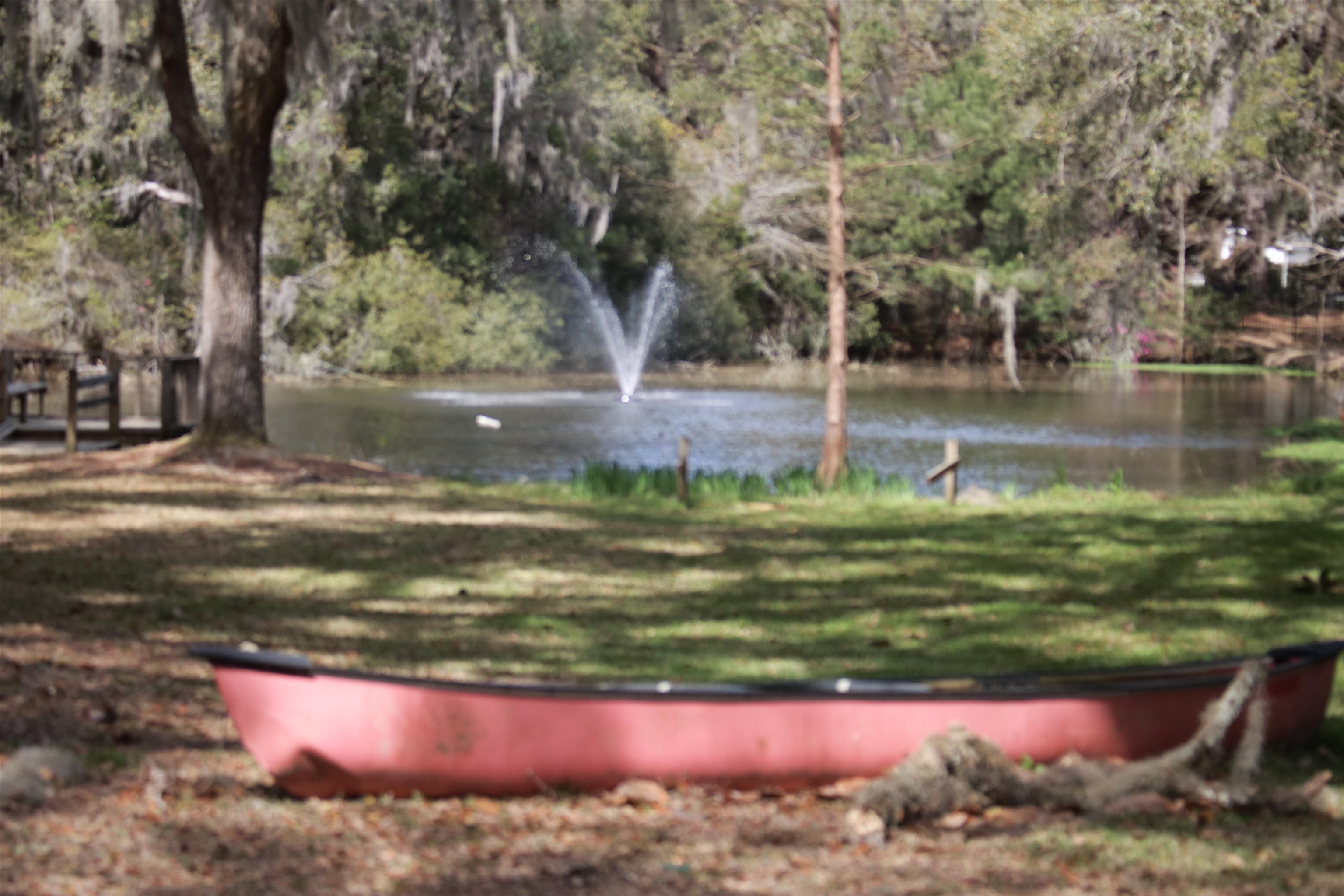229 Tradd Road Georgetown, SC 29440 - Photo 2 of 12 Gallery Image 2