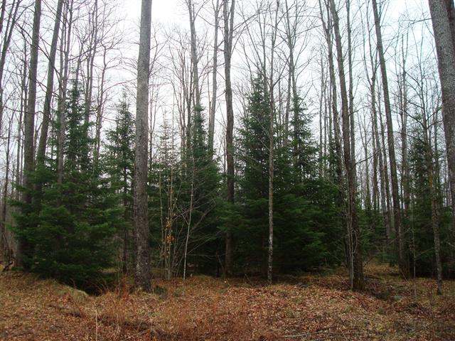 4641 Walnut Hill Road Crandon, WI 54520 - Photo 8 of 15 Gallery Image 8
