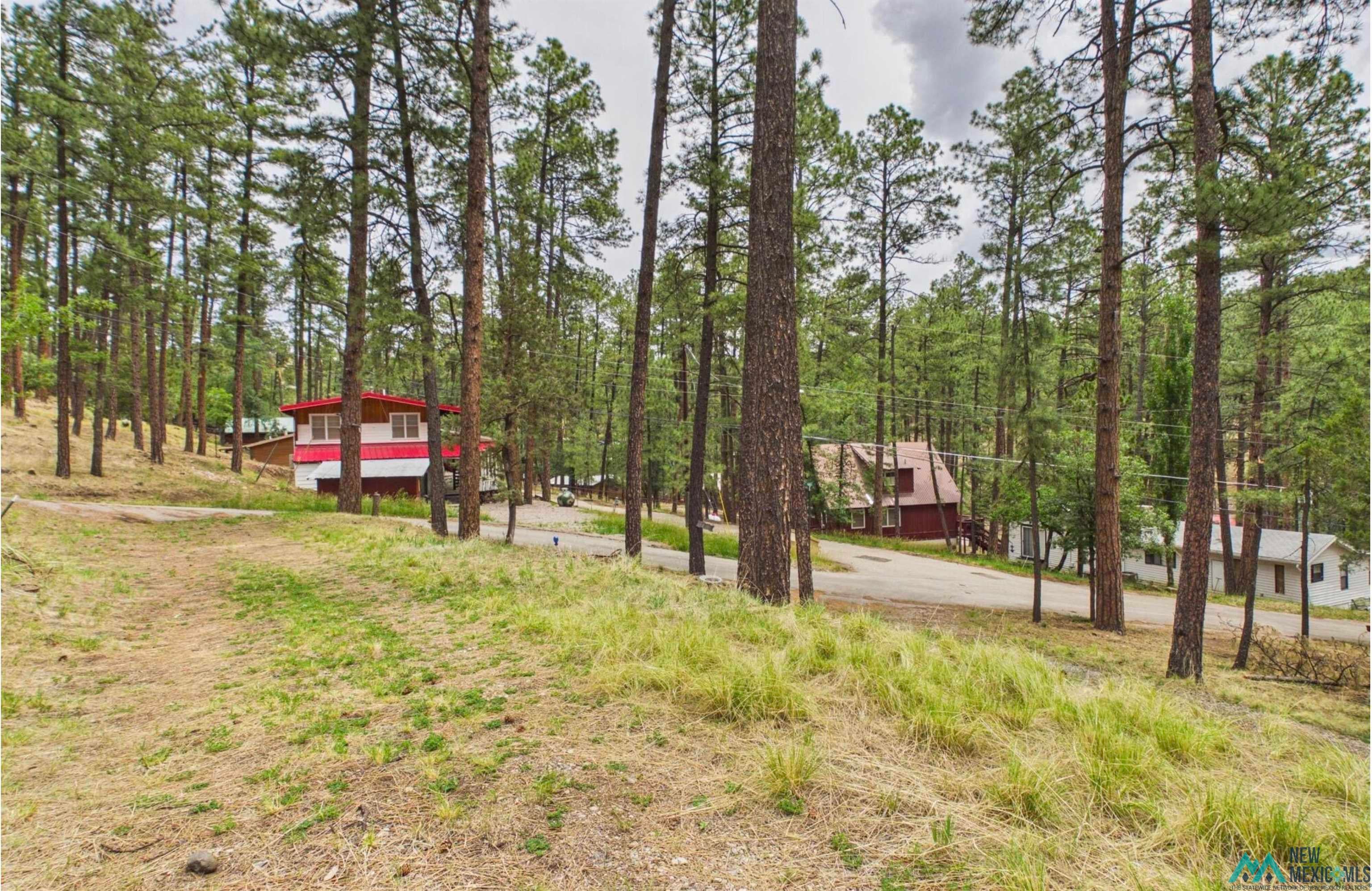 107 Mac Street Ruidoso, NM 88345 - Photo 3 of 34 Gallery Image 3