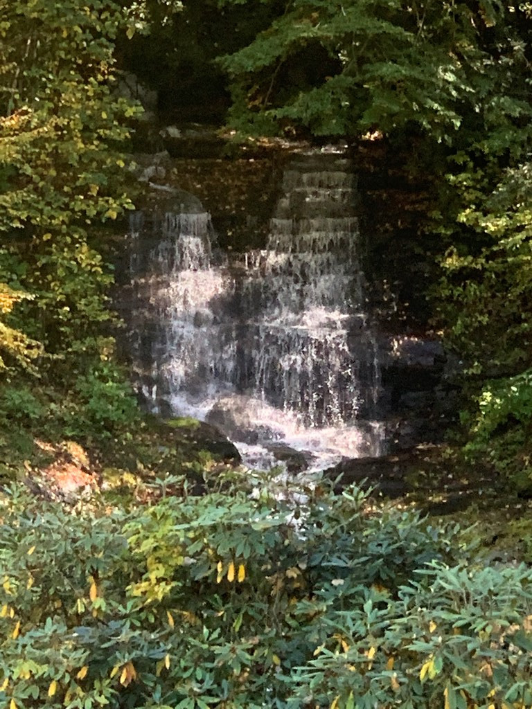 0 East Alarka Road Bryson City, NC 28713 - Photo 14 of 28