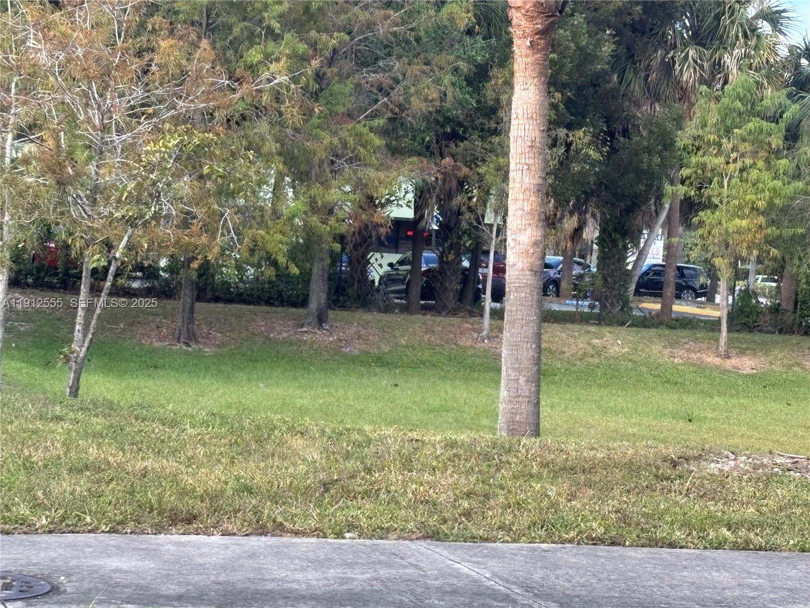 3691 Southwest 60th Terrace Miramar, FL 33023 - Photo 7 of 8 a view of a park with large trees
