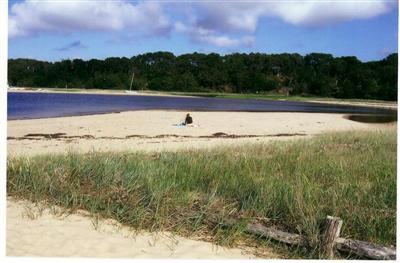 265 Bay Road Harwich, MA 02645 - Photo 3 of 11 a view of a yard with a lake