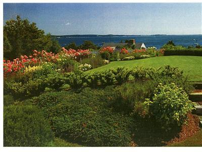 265 Bay Road Harwich, MA 02645 - Photo 9 of 11 a view of a houses with a yard