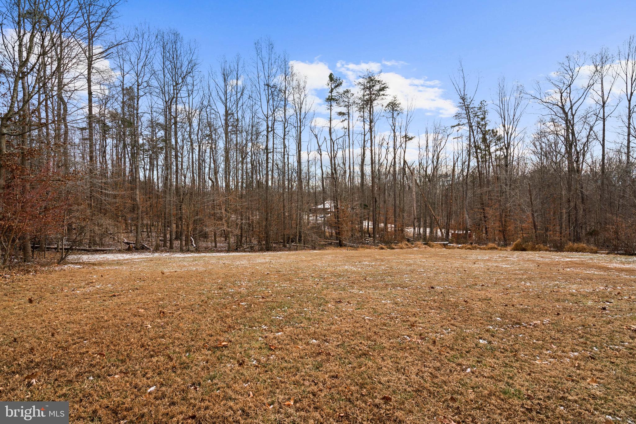 10448 Wheatley School Road Marshall, VA 20115 - Photo 44 of 48 a view of outdoor space with trees