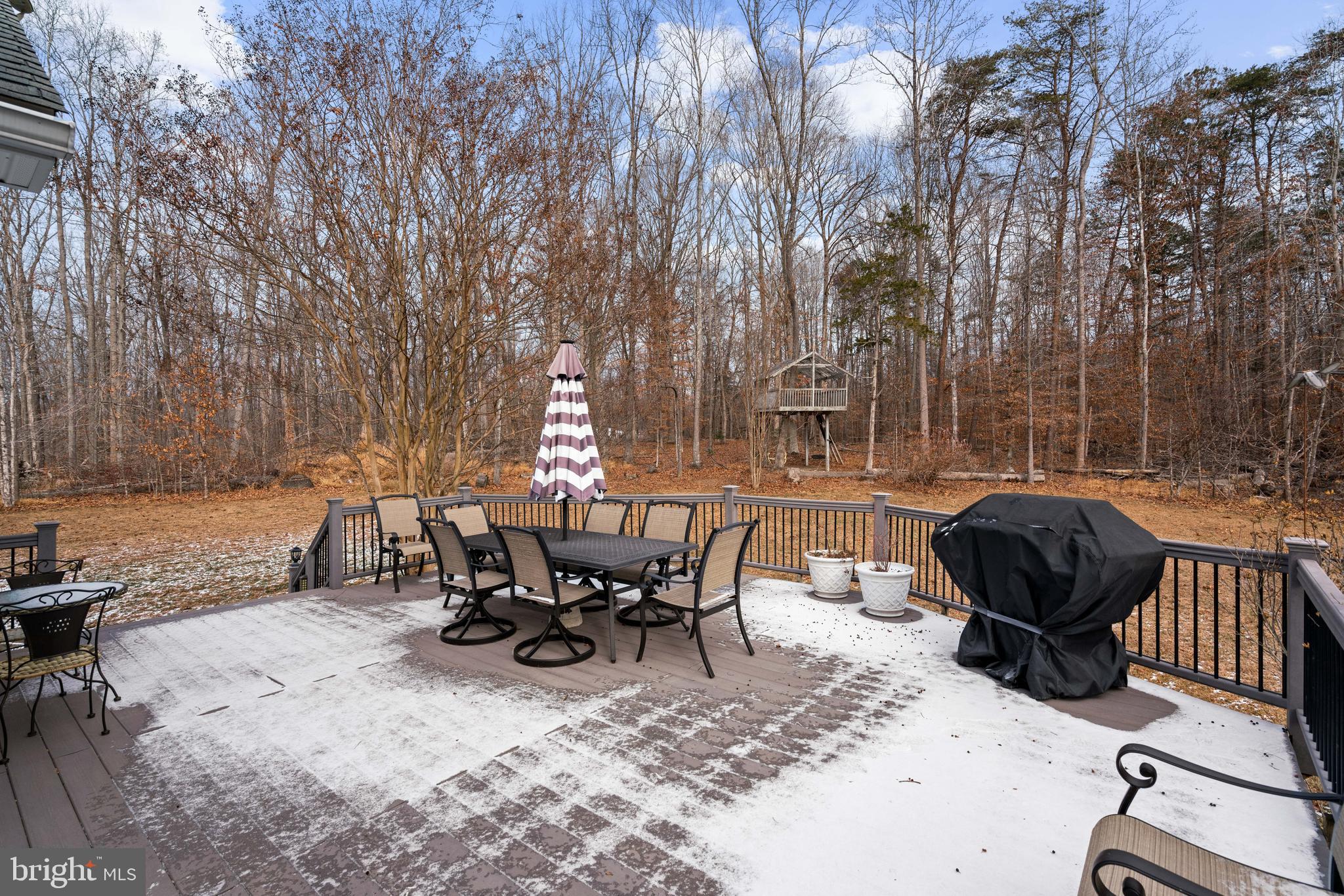 10448 Wheatley School Road Marshall, VA 20115 - Photo 48 of 48 a view of a backyard with sitting area