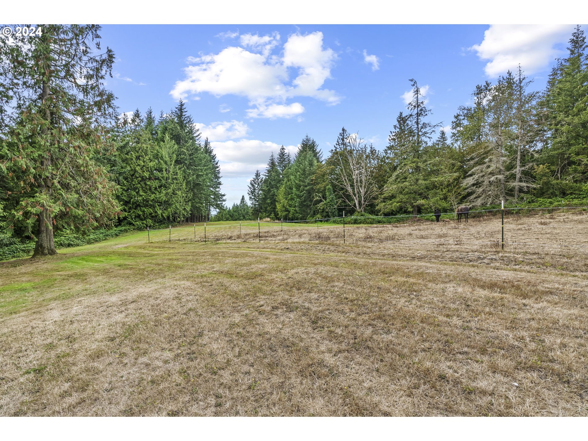 460 Ross Road Kelso, WA 98626 - Photo 28 of 39 Gallery Image 28
