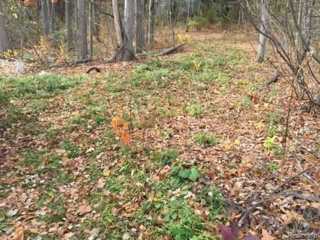 19280 Savage Road Belleville, MI 48111 - Photo 10 of 11