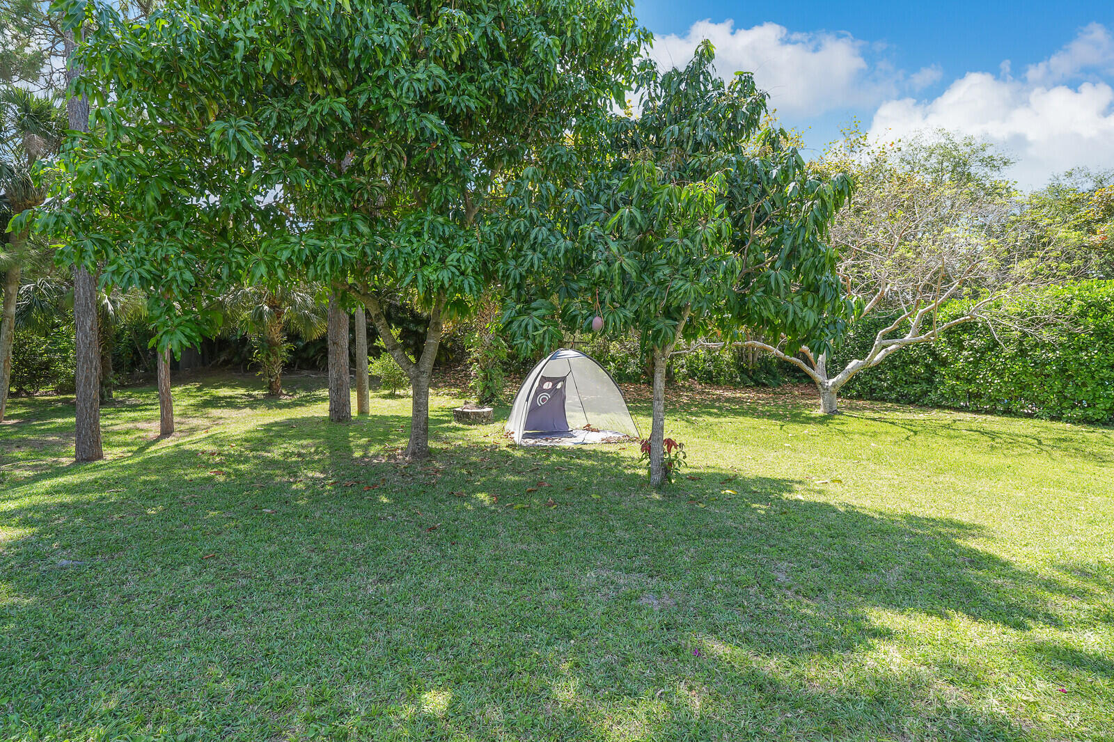 403 Mangrove Point Jupiter, FL 33458 - Photo 40 of 51 a view of a house with a yard