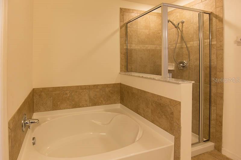 15810 Fishhawk View Drive Lithia, FL 33547 - Photo 13 of 34 a bathroom with a bathtub