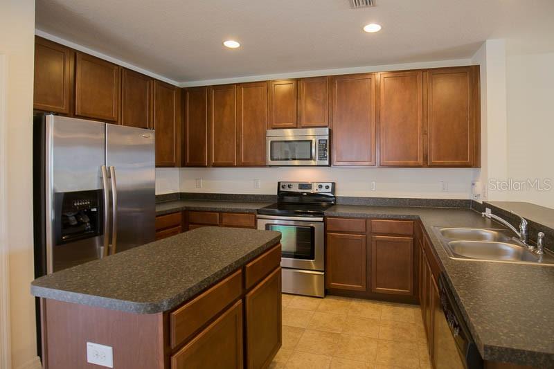 15810 Fishhawk View Drive Lithia, FL 33547 - Photo 4 of 34 a kitchen with kitchen island granite countertop a sink stainless steel appliances and cabinets