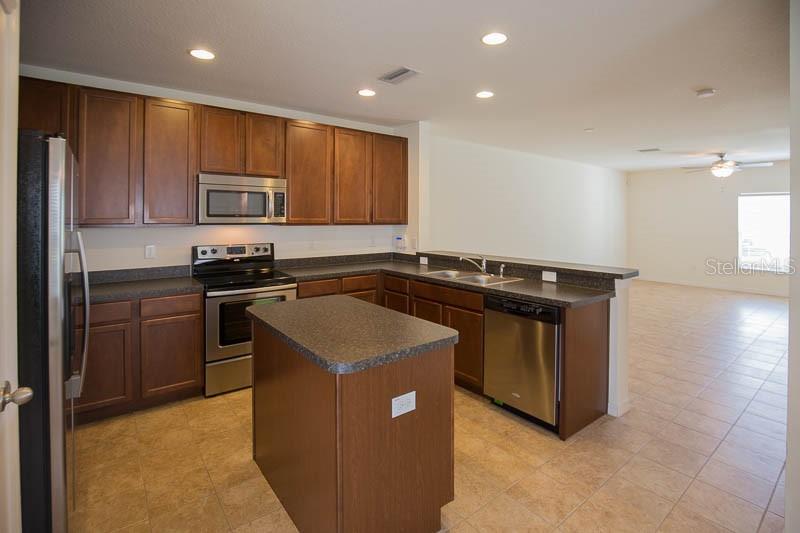 15810 Fishhawk View Drive Lithia, FL 33547 - Photo 5 of 34 a kitchen that has a sink a stove and cabinets
