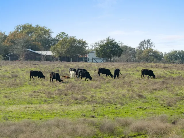 a view of a yard with an outdoor space