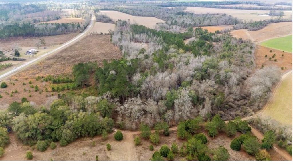112 County Road Columbia, AL 36319 - Photo 1 of 2