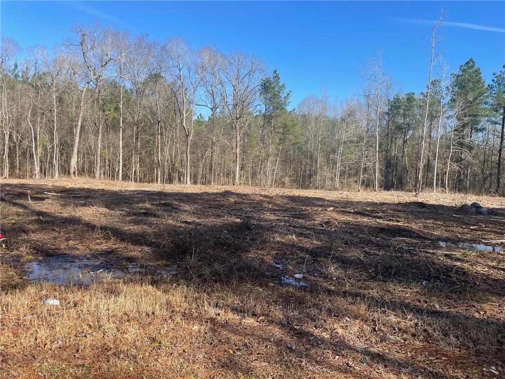 Lot 4 Old Beaubouef Road Deville, LA 71328 - Photo 1 of 2 Gallery Image 1