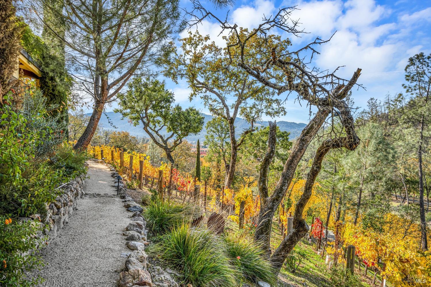 2395 Pickett Road Calistoga, CA 94515 - Photo 49 of 84