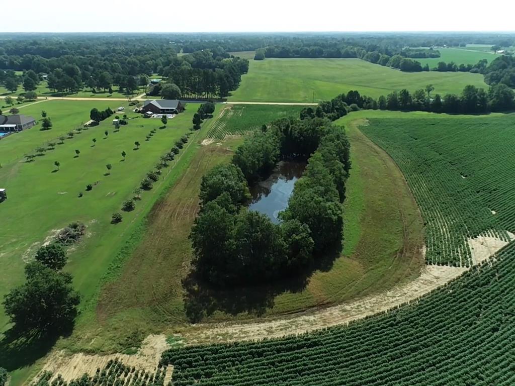 132.3-ac Green Road Dothan, AL 36303 - Photo 9 of 63