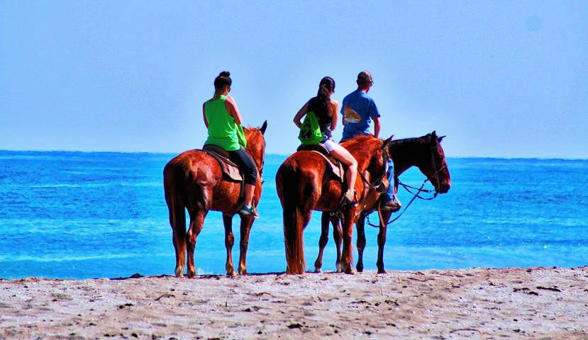 373 Springview Loop Port St. Lucie, FL 34986 - Photo 50 of 56 Horses on the Beach