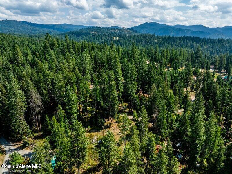 Nka North Rollins Beach Loop Hayden, ID 83835 - Photo 5 of 25 Aerial View