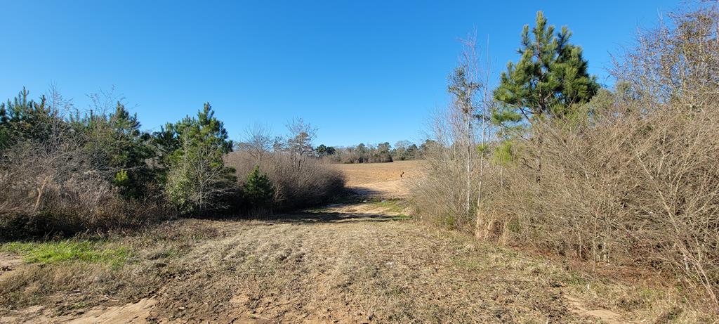 50.45-acres Trawick Road Dothan, AL 36301 - Photo 36 of 62
