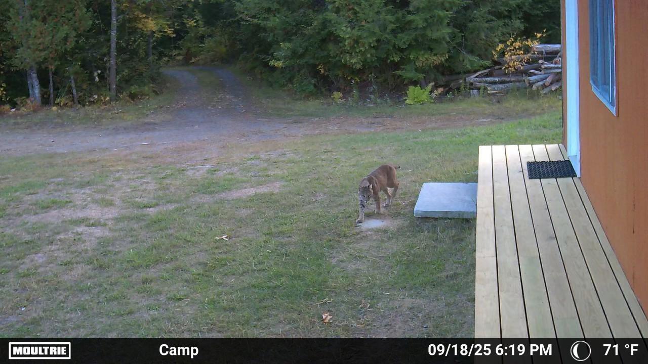 846 Notch Road Skowhegan, ME 04976 - Photo 50 of 54 image000001