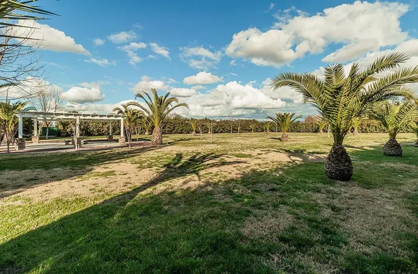 $1,190,000 | 7010 South Frankwood Avenue, Reedley, CA 93654