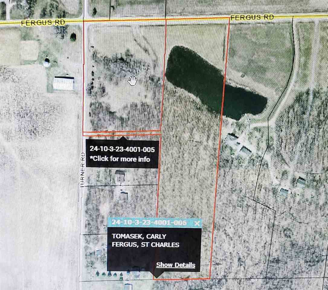 0 Fergus Road St. Charles, MI 48655 - Photo 3 of 4