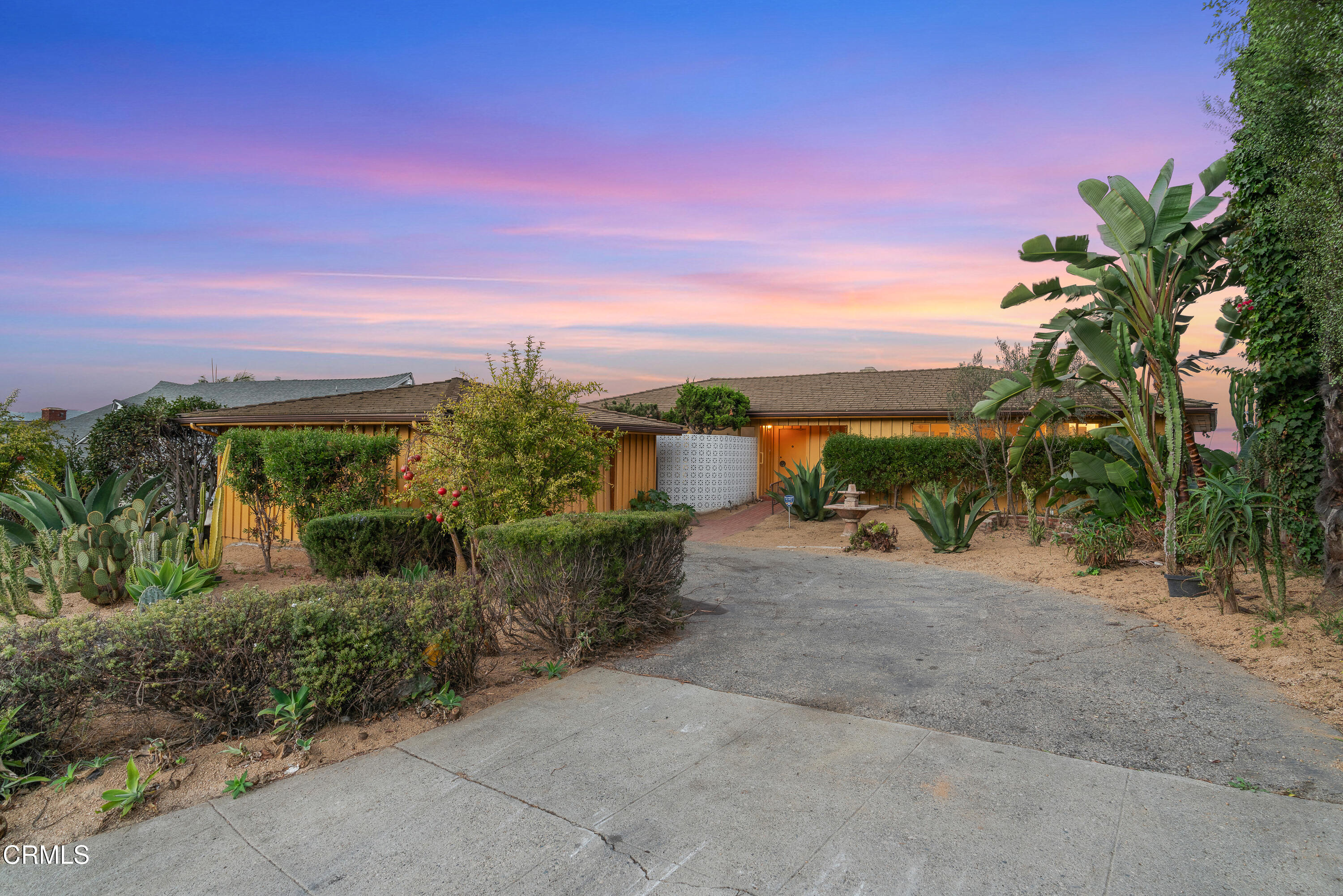 a view of a dry yard with a house in the background