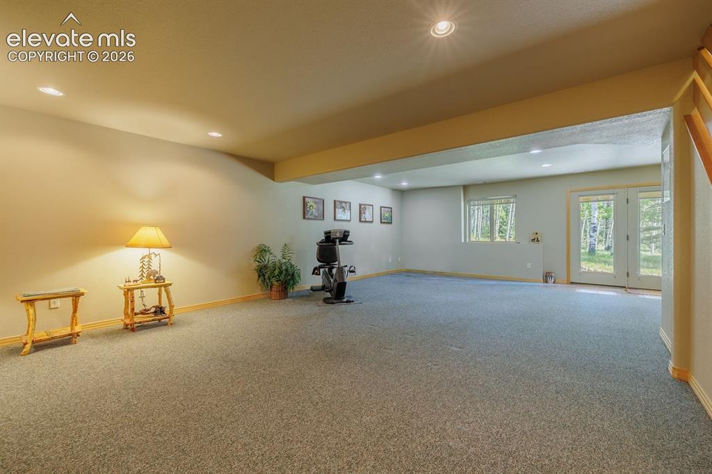 392 Aspen Village Road Divide, CO 80814 - Photo 29 of 43